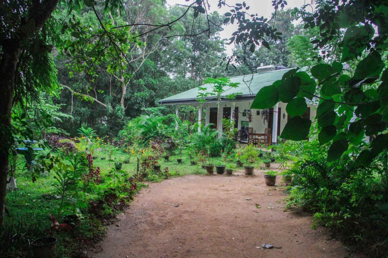 Sigiriya Mana B&B Exterior photo