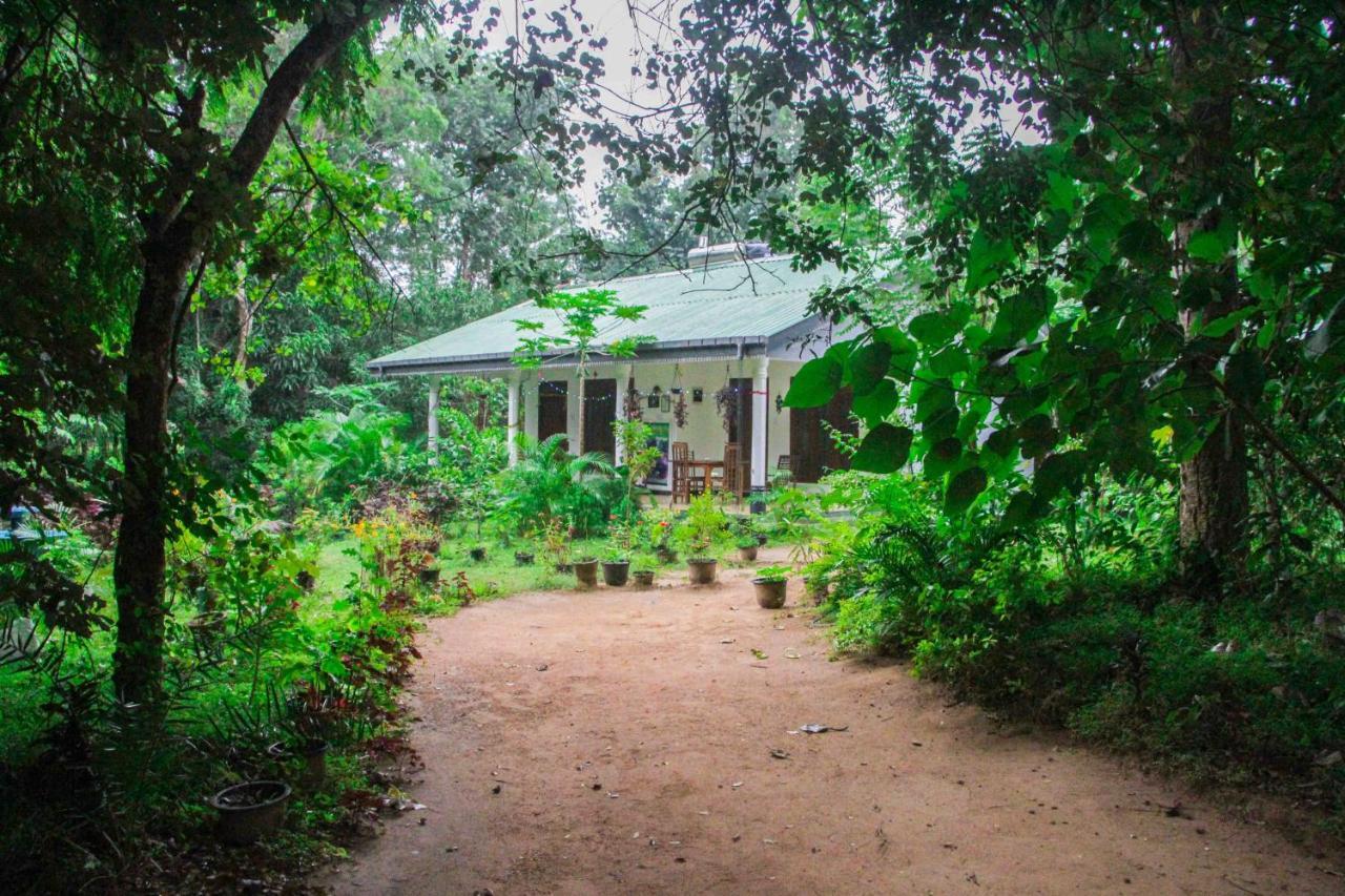 Sigiriya Mana B&B Exterior photo