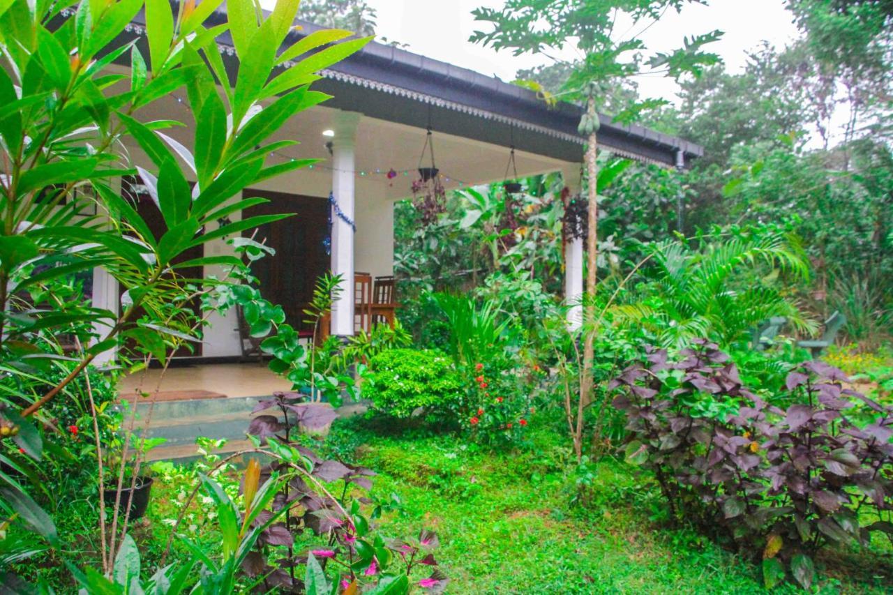Sigiriya Mana B&B Exterior photo