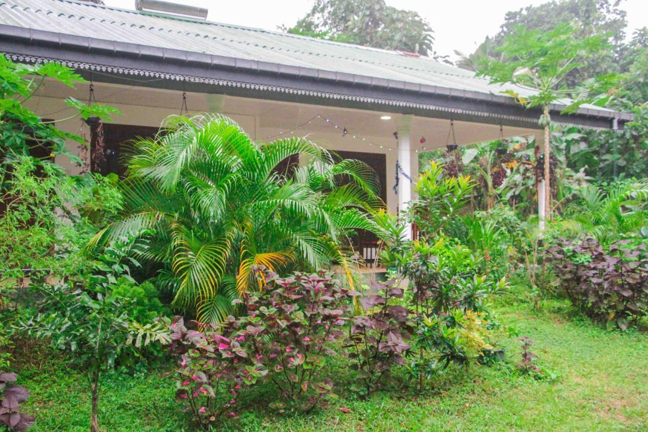 Sigiriya Mana B&B Exterior photo