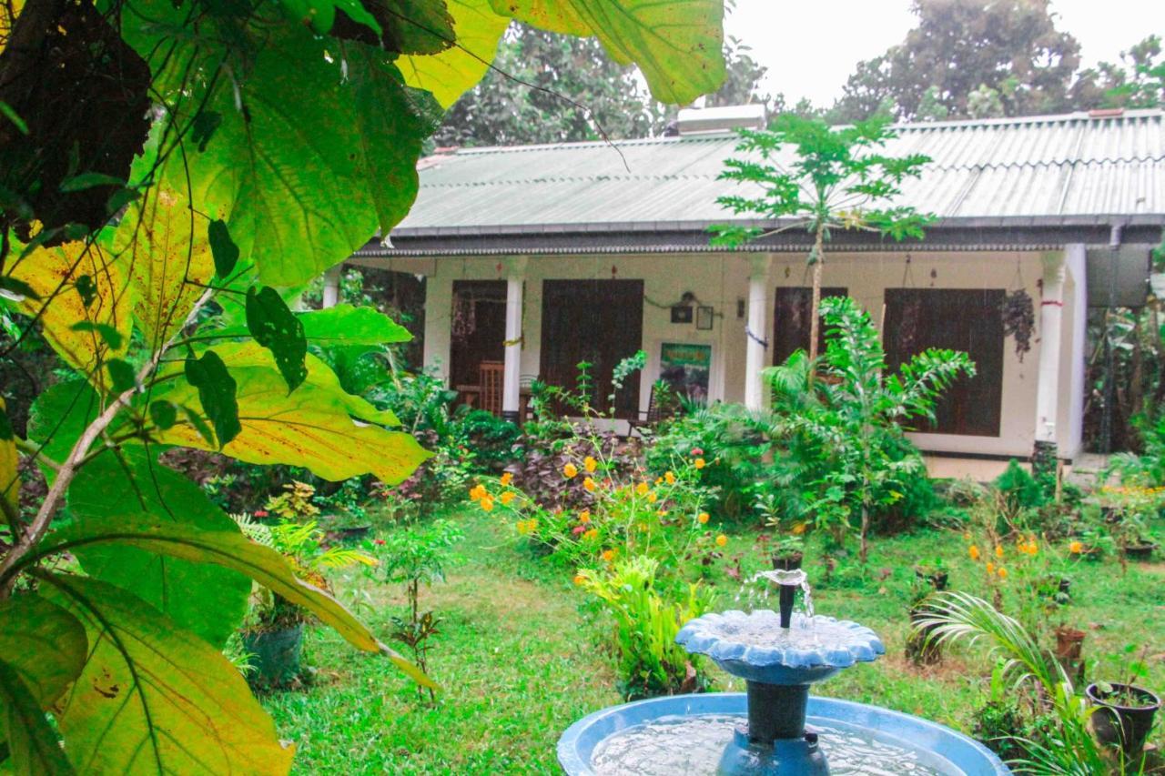 Sigiriya Mana B&B Exterior photo